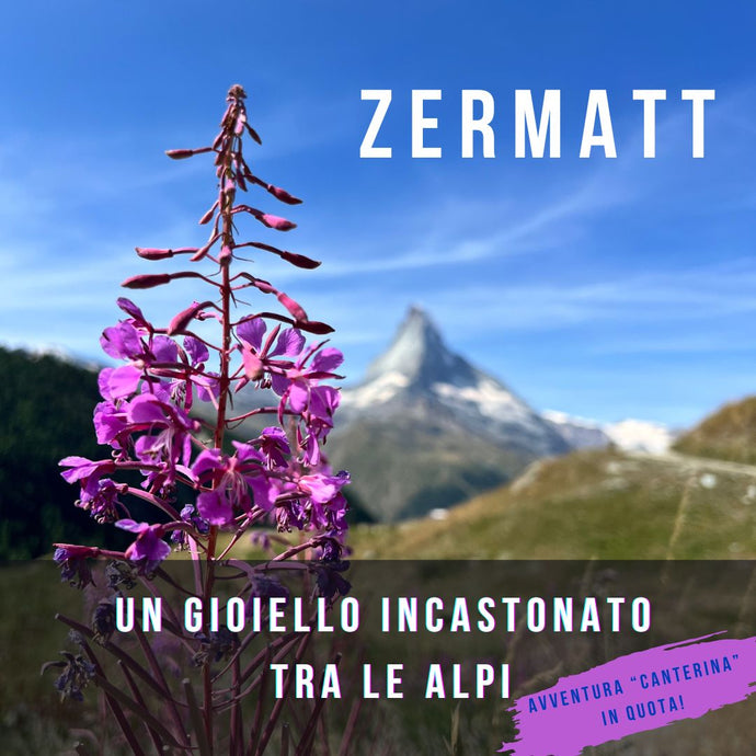 ZERMATT: tutto quello che c'è da sapere su questa meta magica tra le Alpi