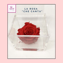 Carica l&#39;immagine nel visualizzatore di Gallery, LA ROSA CHE CANTA DELUXE ® una Serenata 2.0 , un regalo originale
